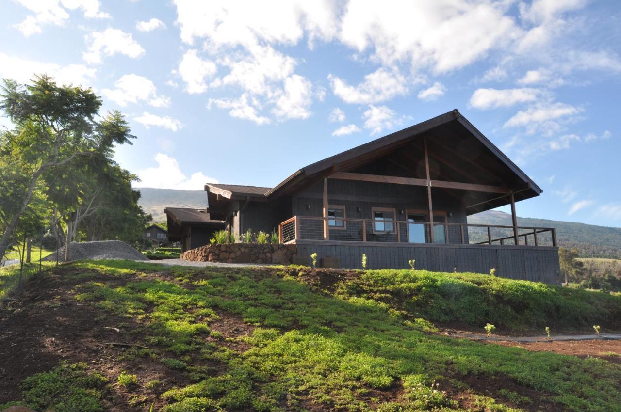 Kula 4200 Villa Exteriör bild